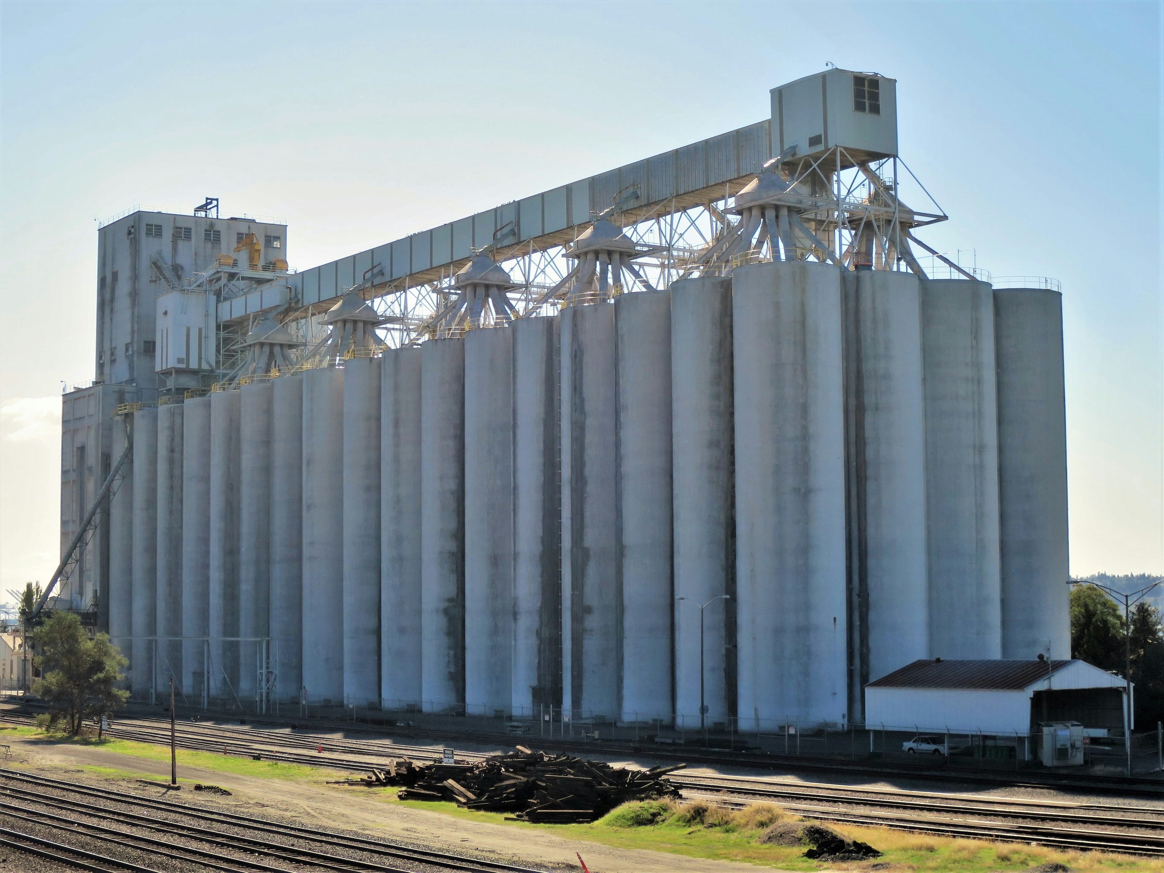 Commercial grain elevator automation system with large storage bins